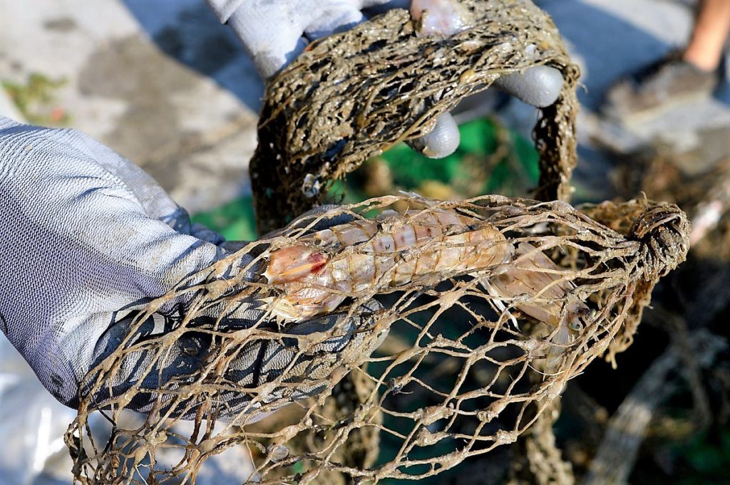 Un mare di plastica